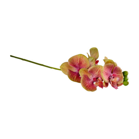 Umelé kvety Orchidea fialovo-zelená Artificial Flowers – Villeroy & Boch